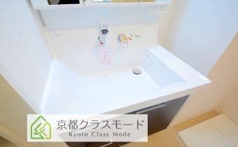 シャンプードレッサー