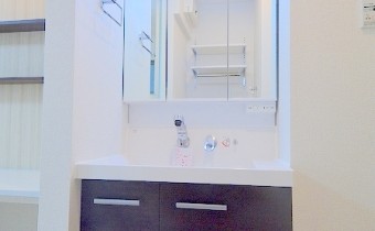 シャンプードレッサー