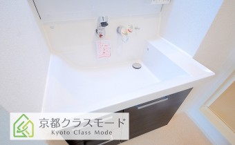 シャンプードレッサー
