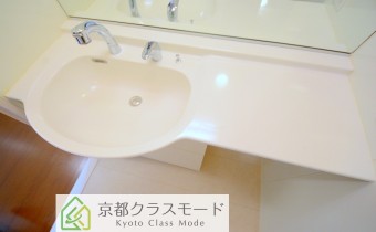 シャンプードレッサー　