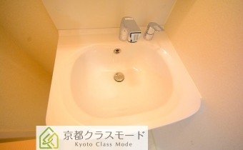 シャンプードレッサー