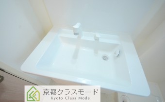 シャンプードレッサー