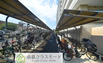 駐輪スペース