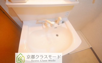 シャンプードレッサー