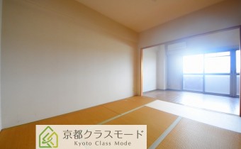 和 6