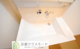 シャンプードレッサー