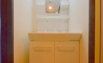 シャンプードレッサー