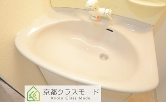シャンプードレッサー