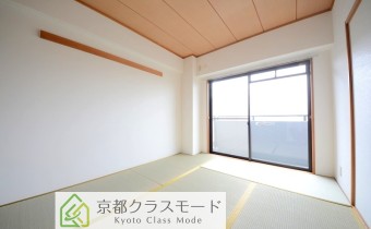 和6