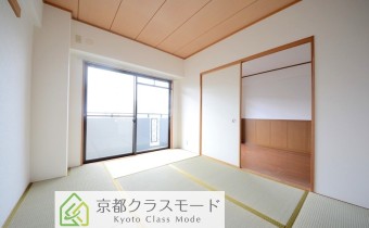 和6