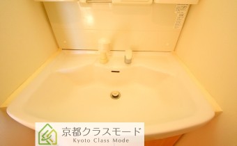 シャンプードレッサー