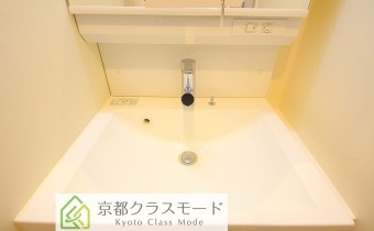 シャンプードレッサー
