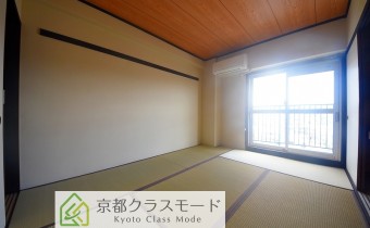 和6