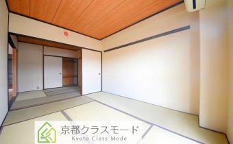 和6