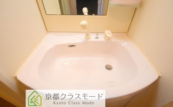 シャンプードレッサー