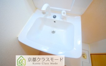 シャンプードレッサー