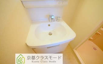 シャンプードレッサー
