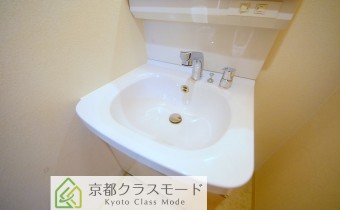 シャンプードレッサー
