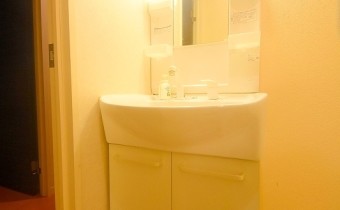 シャンプードレッサー