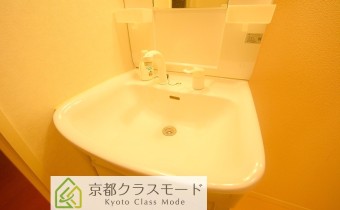 シャンプードレッサー