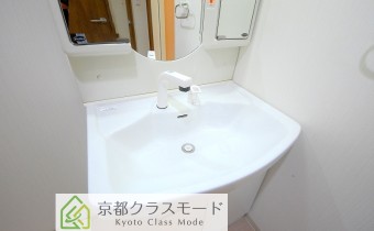 シャンプードレッサー