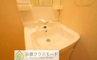 シャンプードレッサー