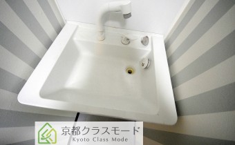 シャンプードレッサー