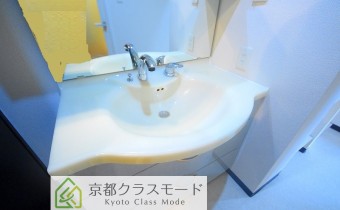 シャンプードレッサー