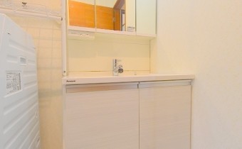 シャンプードレッサー