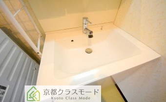 シャンプードレッサー