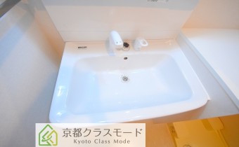 シャンプードレッサー