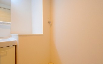 室内洗濯機置場