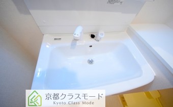 シャンプードレッサー