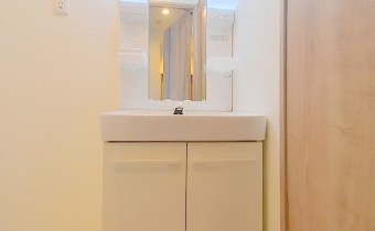 シャンプードレッサー