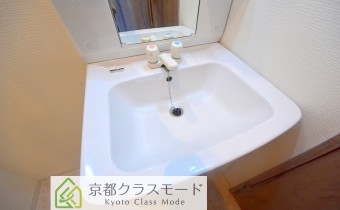 シャンプードレッサー