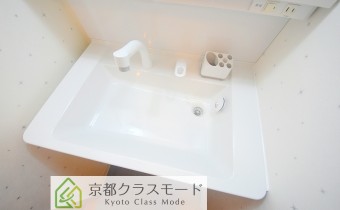 シャンプードレッサー