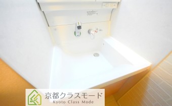 シャンプードレッサー