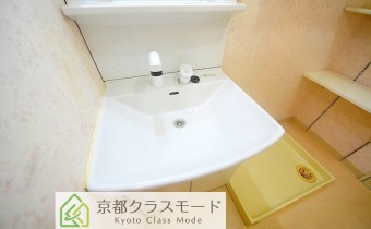シャンプードレッサー