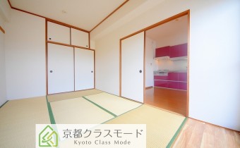 和6