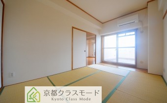 和6