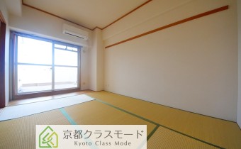 和6
