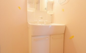 シャンプードレッサー