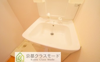 シャンプードレッサー