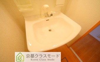 シャンプードレッサー