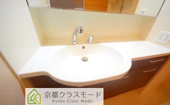 シャンプードレッサー