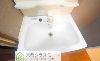 シャンプードレッサー