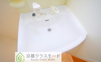 シャンプードレッサー