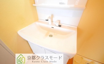 シャンプードレッサー