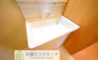 シャンプードレッサー