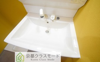 シャンプードレッサー